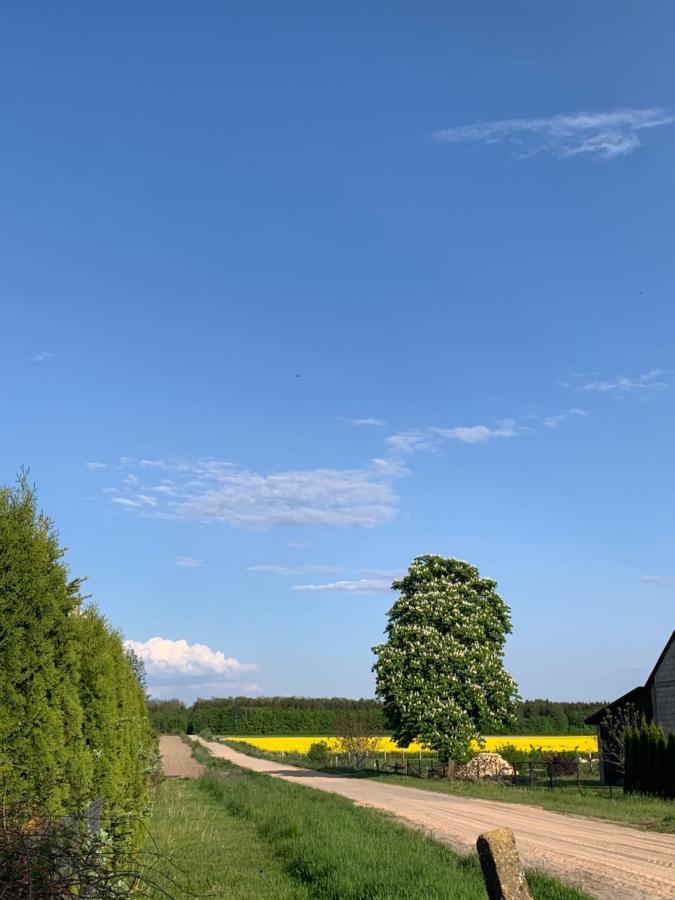 Siedlisko Glinnik Exterior foto